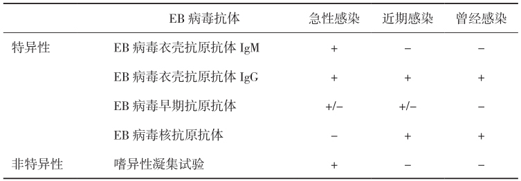 表1 EB病毒感染后血清中抗体的动态变化